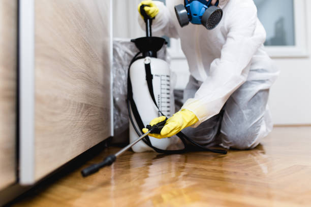 Best Commercial Pest Control Services  in Broad Brook, CT