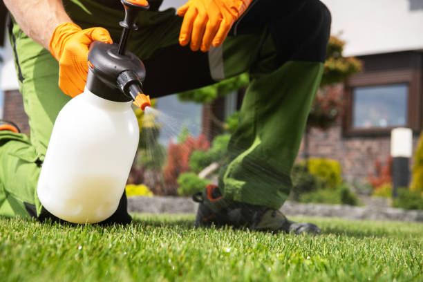 Best Bird Control  in Broad Brook, CT