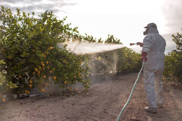 Best Bed Bug Extermination  in Broad Brook, CT