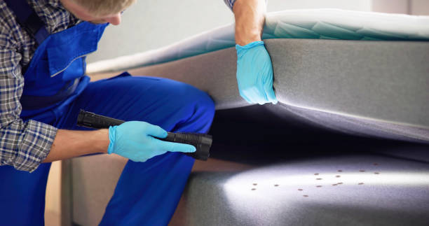 Best Residential Pest Control  in Broad Brook, CT