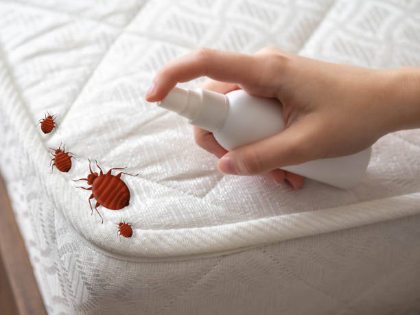  Broad Brook, CT Pest Control Pros