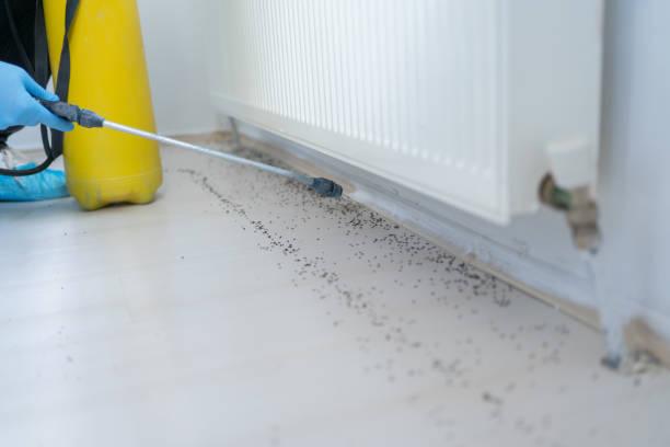 Broad Brook, CT Pest Control Company