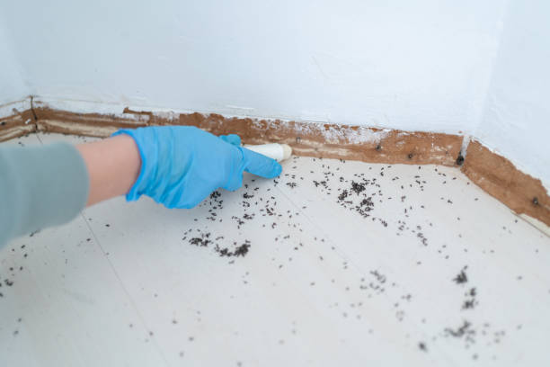 Best Best Pest Control Companies  in Broad Brook, CT